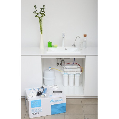 Фільтр зворотного осмосу ECOSOFT Standart