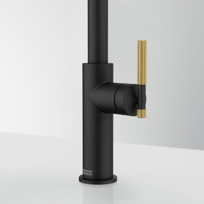 Змішувач FRANKE Maris Stripes J, поворотный витяжний, Bi-Matte Black/Gold (115.0747.673)