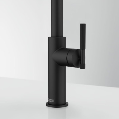 Змеишувач FRANKE Марис Страйпс J, поворотный витяжний, Чорний матовый (115.0747.672)