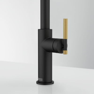 Змішувач FRANKE Maris Stripes U, поворотный витяжний, Bi-Matte Black/Gold (115.0747.676)