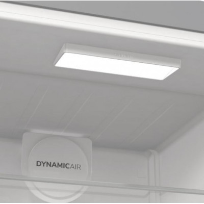 Холодильник Gorenje R 619 EAXL6