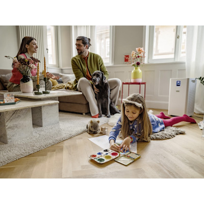 Воздухоочиститель Karcher AF 50(1.024-822.0)