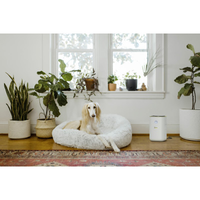 Воздухоочиститель Karcher AF 20(1.024-820.0)