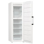 Морозильна камера Gorenje FN 619 EAW6