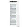 Морозильна камера вбудована Gorenje FNI 518 EA1