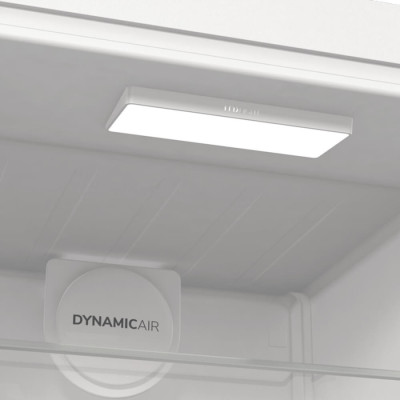 Холодильник однокамерний Gorenje R619EAW6