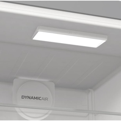 Холодильник Gorenje R 619 EAXL6