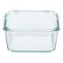 Контейнер пищевой универсальный miFamilia Nested collection 750 мл (6086)