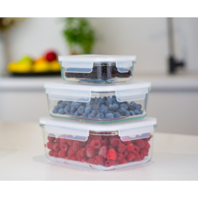 Набор контейнеров miFamilia Nested collection 3 шт, 400 мл, 1000 мл, 1600 мл, для хранения, запекания, заморозки, прямоугольные (6030-6079-6032)