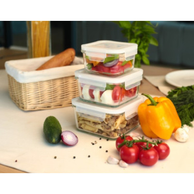 Набор контейнеров miFamilia Nested collection 3 шт, 450 мл, 750 мл, 1000 мл, для хранения, запекания, заморозки, квадратные (6033-6086-6034)