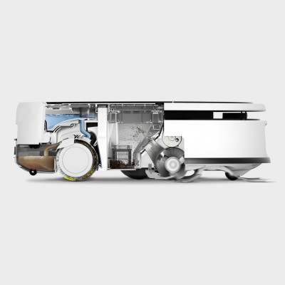 RVF 7