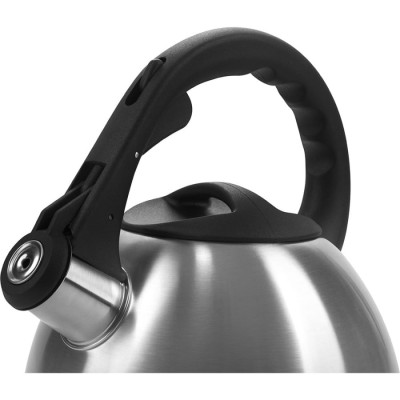 Чайник со свистком Polaris Verde-2.2L (015270)