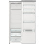 Холодильник Gorenje R619EAXL6