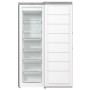 Морозильная камера Gorenje FN619EES5