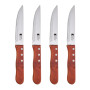 Набір ножів для стейків Bergner Bbq lovers, 4 предмета (BG-40201-MM)