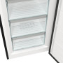 Морозильна камера Gorenje FN619EABK6