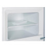 Холодильник Gorenje RF4142PW4