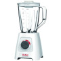 Блендер стаціонарний TEFAL BL420131