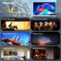 Телевізор Hisense LED 65A6S