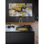 Мийка Franke BXM 210/110-50 127.0662.540 F-Inox gold
